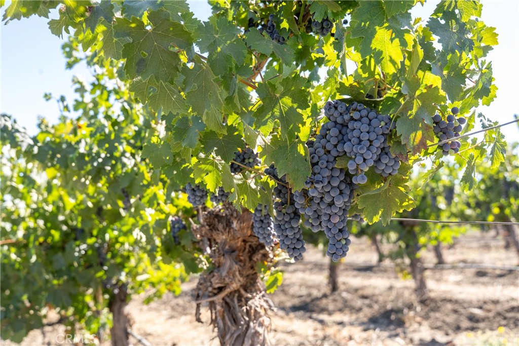 5790 Hog Canyon Road