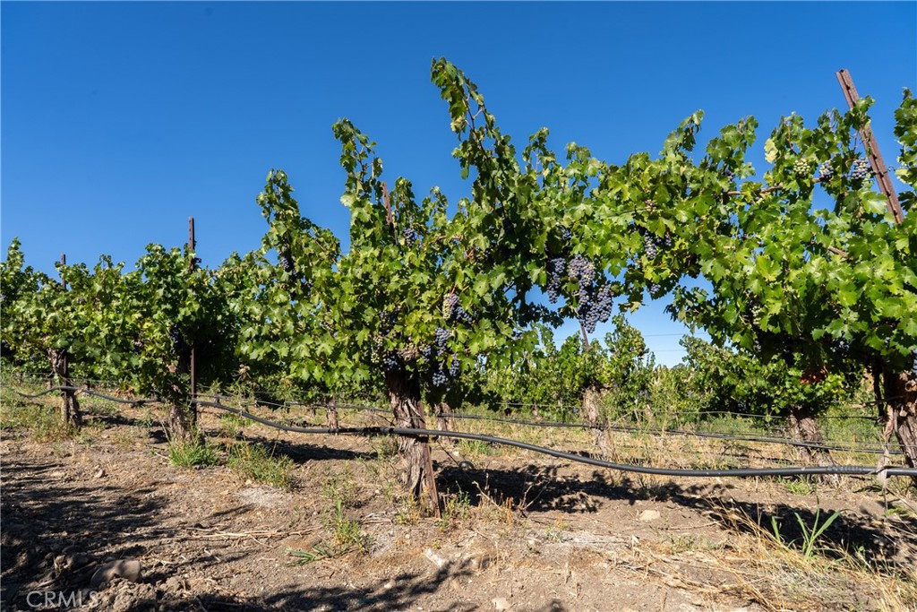 5790 Hog Canyon Road