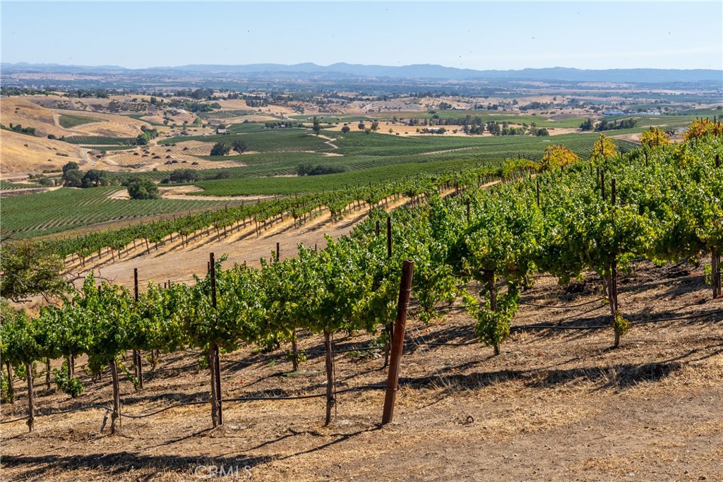 5790 Hog Canyon Road