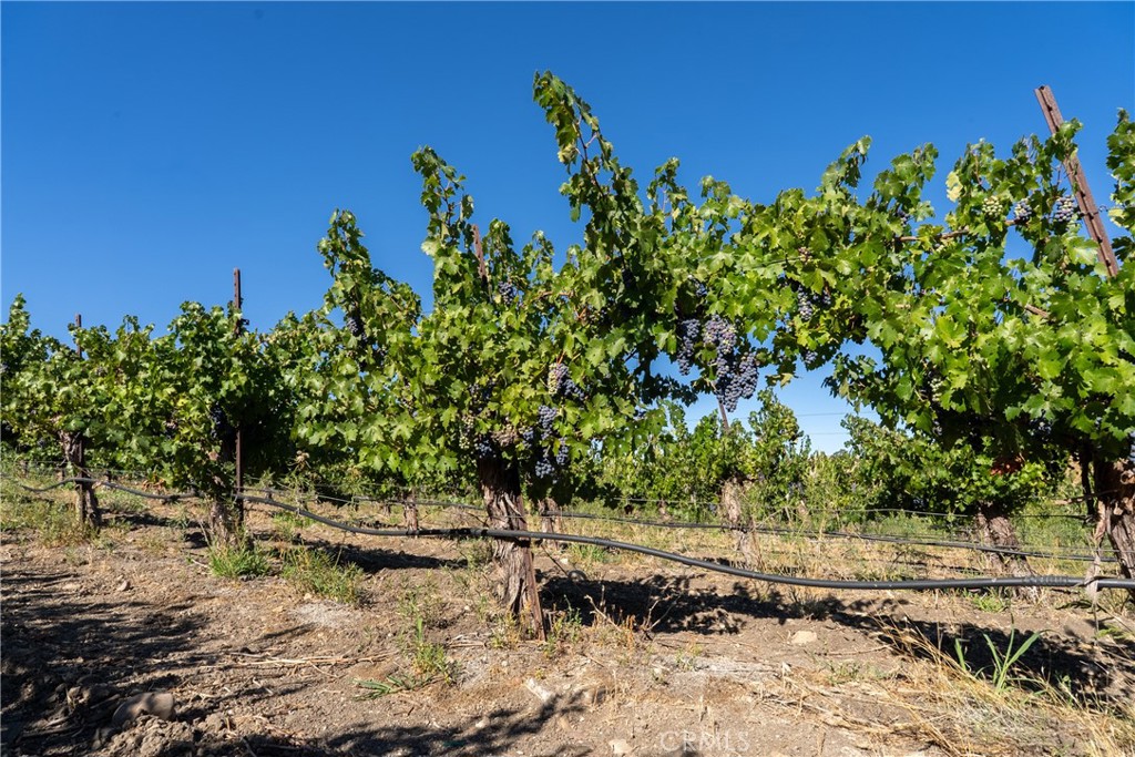 5790 Hog Canyon Road