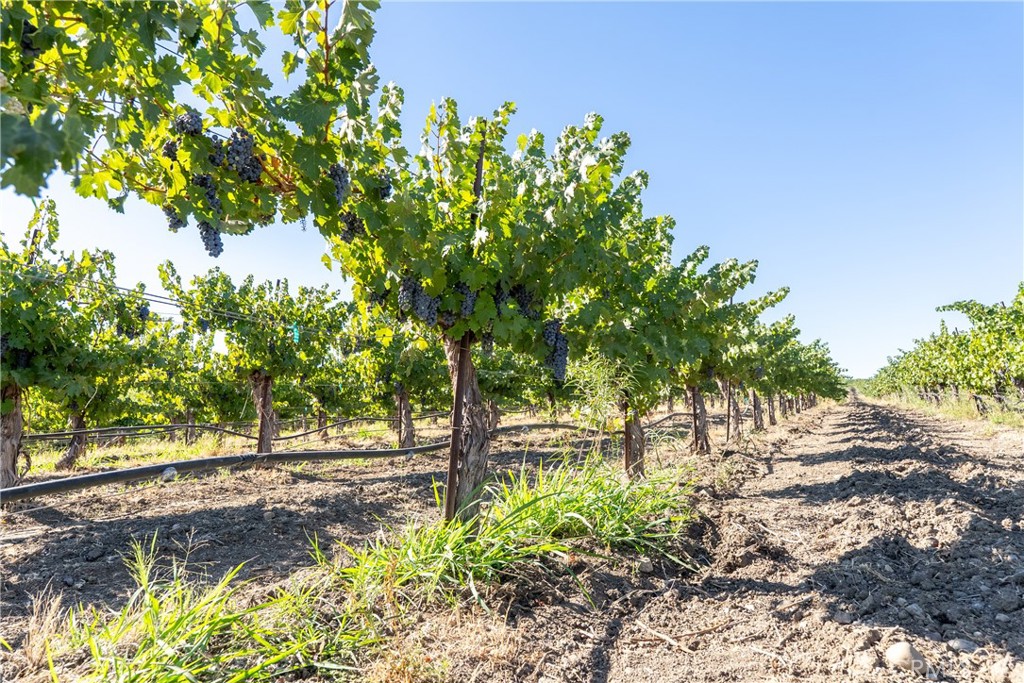 5790 Hog Canyon Road