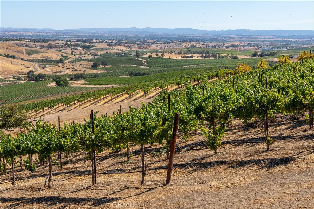 5790 Hog Canyon Road