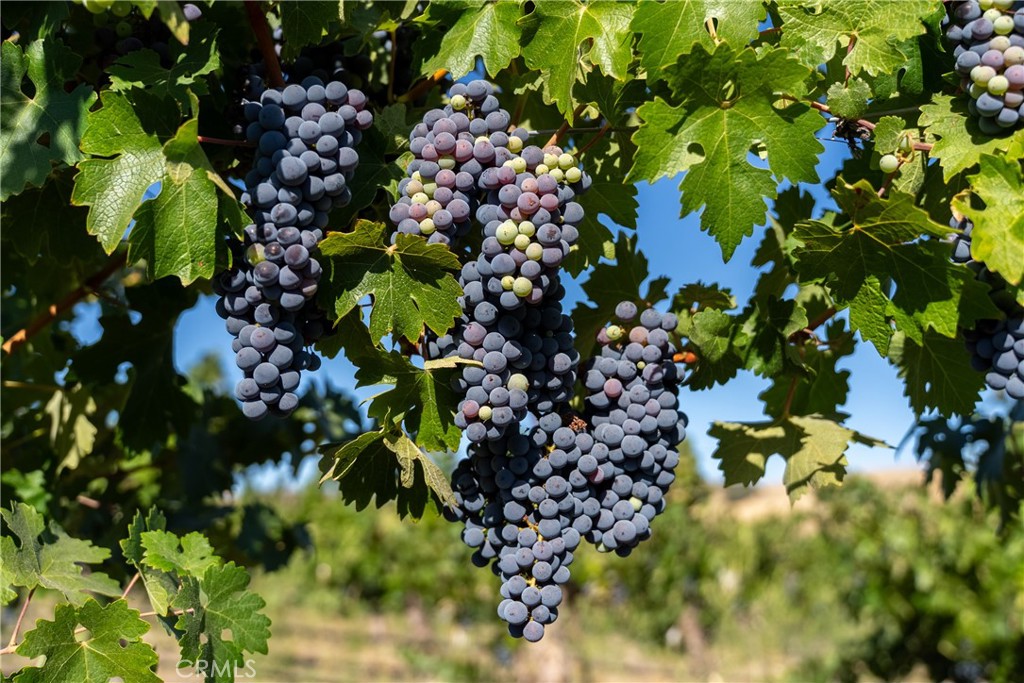 5790 Hog Canyon Road