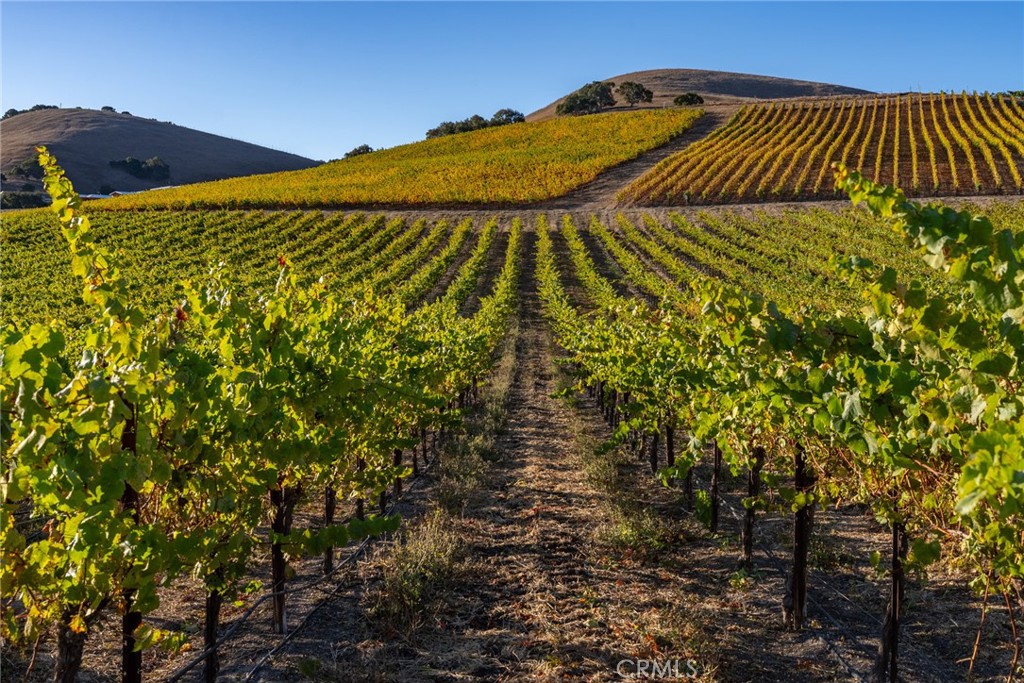 5502 Los Ranchos Road