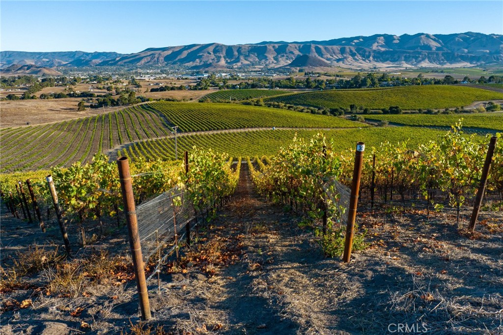 5502 Los Ranchos Road