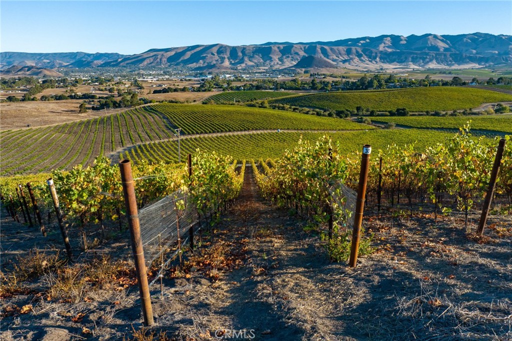 5502 Los Ranchos Road