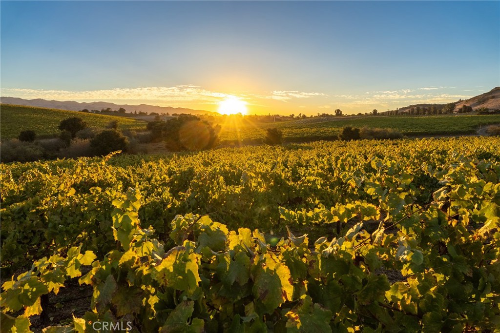 5502 Los Ranchos Road