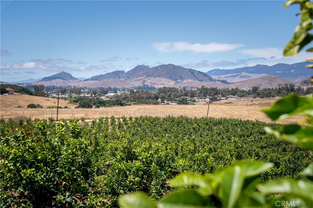 5502 Los Ranchos Road