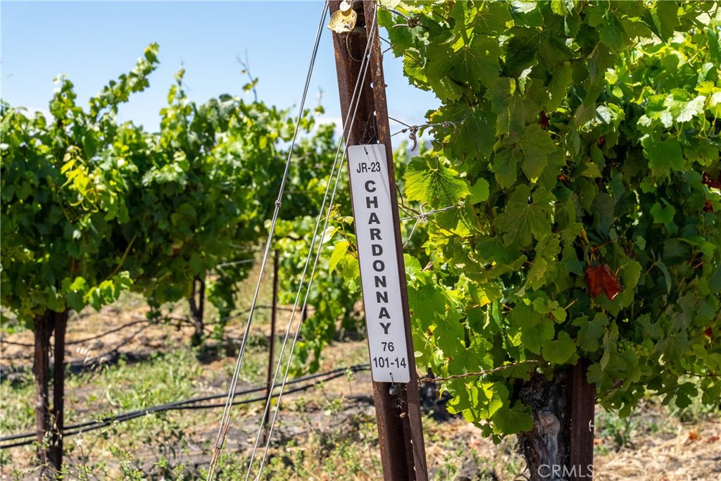 5502 Los Ranchos Road