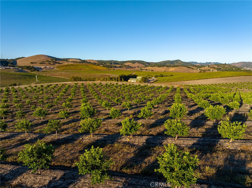 5502 Los Ranchos Road