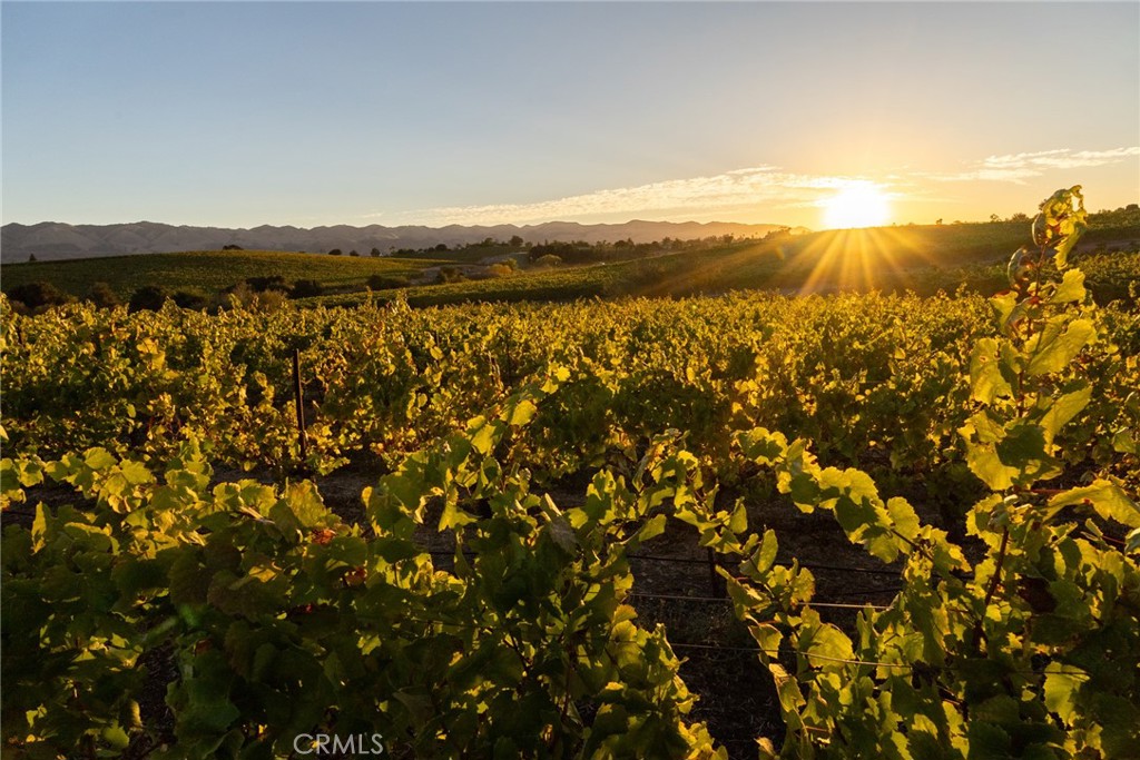 5502 Los Ranchos Road