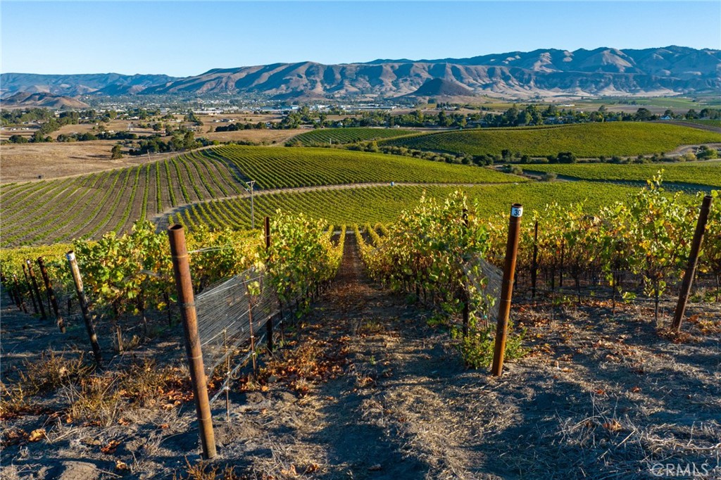 5502 Los Ranchos Road