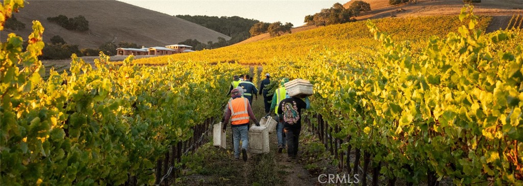 5502 Los Ranchos Road