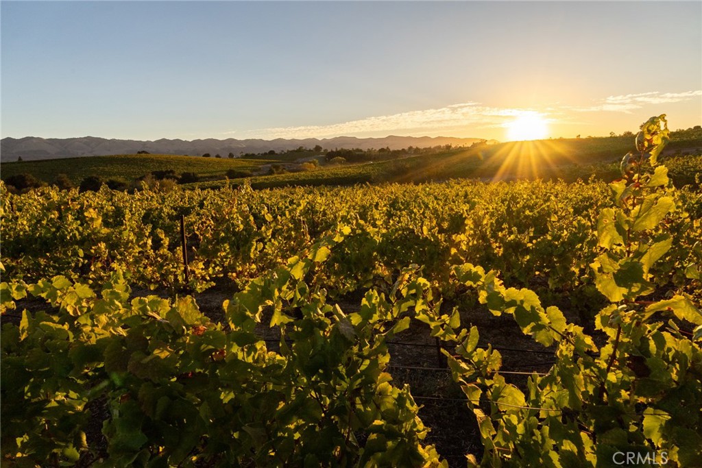 5502 Los Ranchos Road