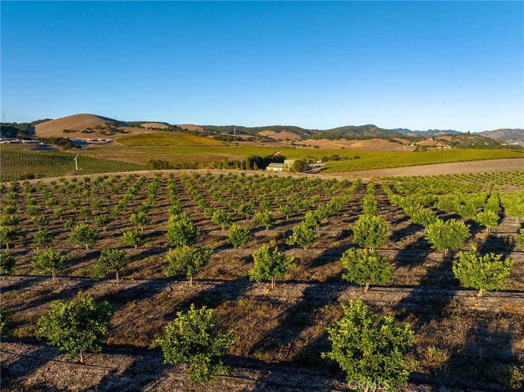 5502 Los Ranchos Road