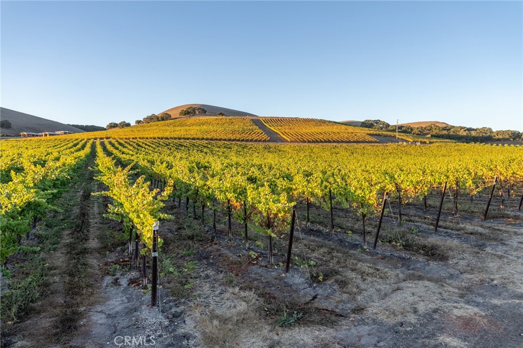 5502 Los Ranchos Road