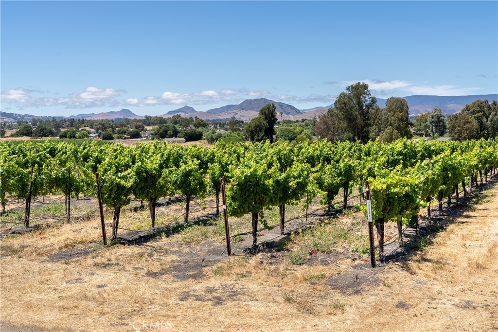 5502 Los Ranchos Road