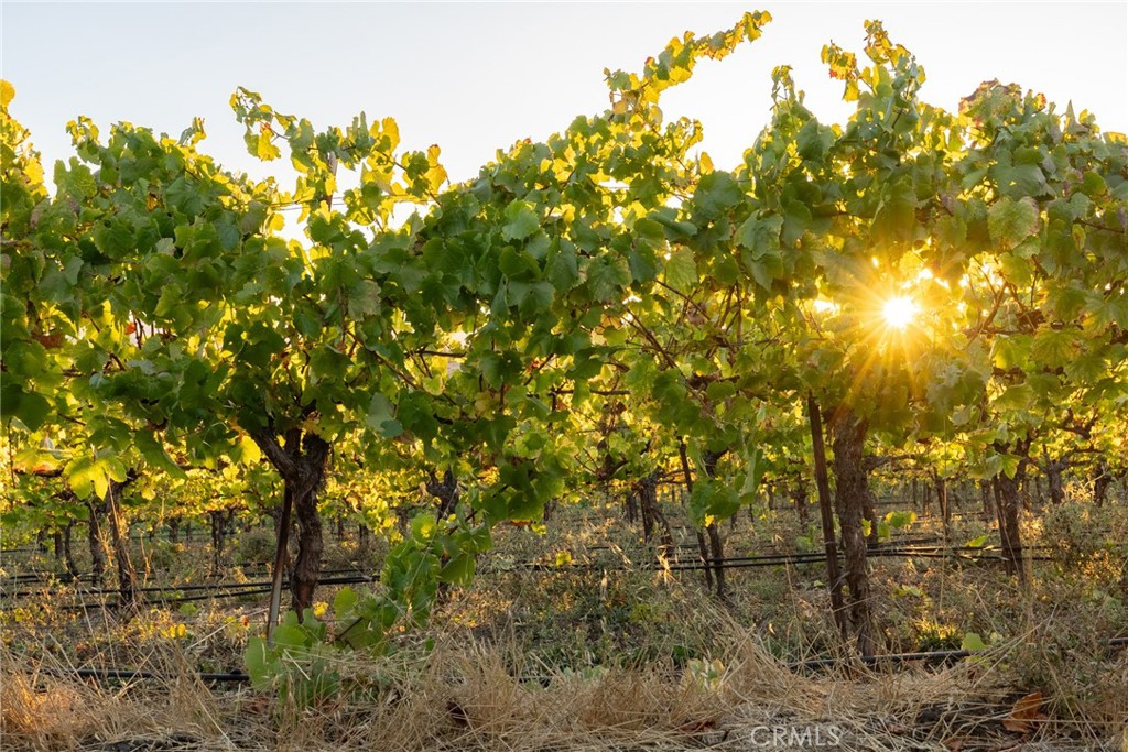 5502 Los Ranchos Road