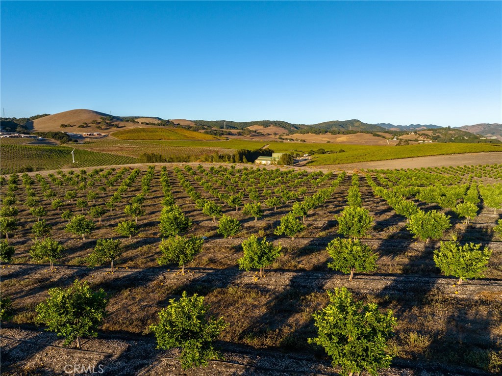 5502 Los Ranchos Road