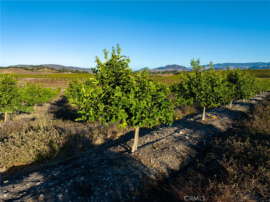 5502 Los Ranchos Road