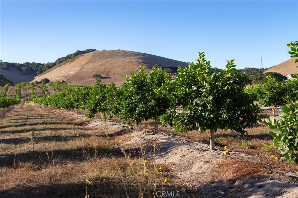 5502 Los Ranchos Road