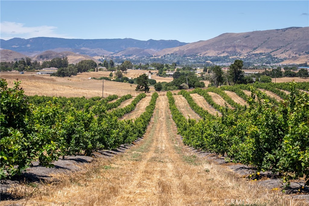 5502 Los Ranchos Road