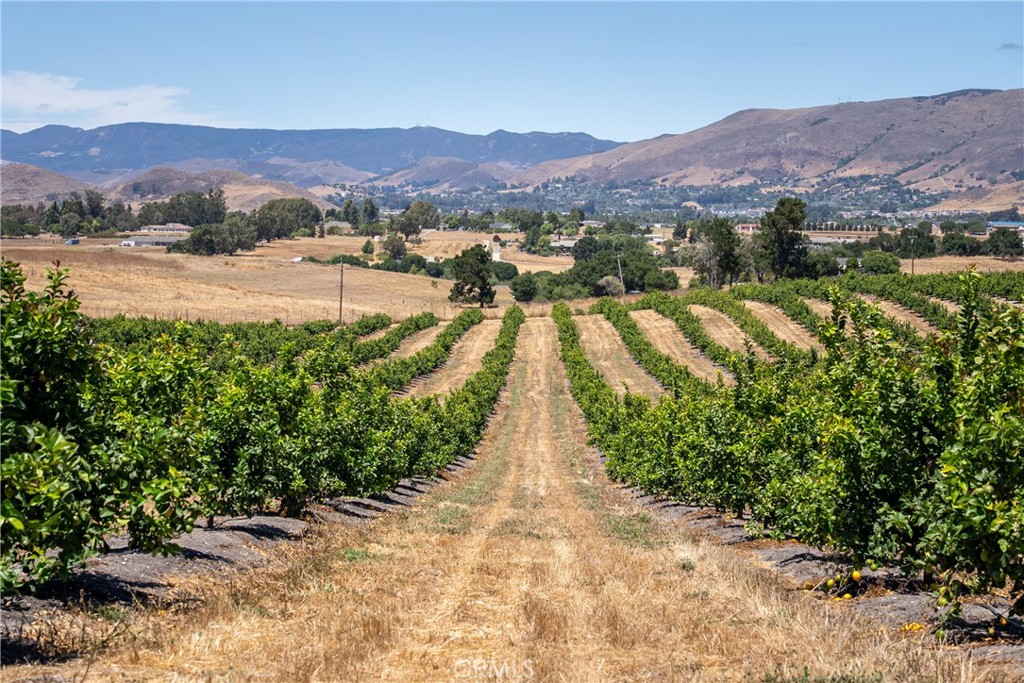 5502 Los Ranchos Road