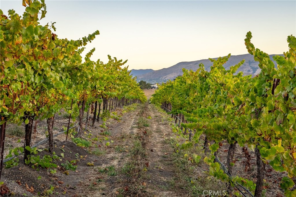 5502 Los Ranchos Road