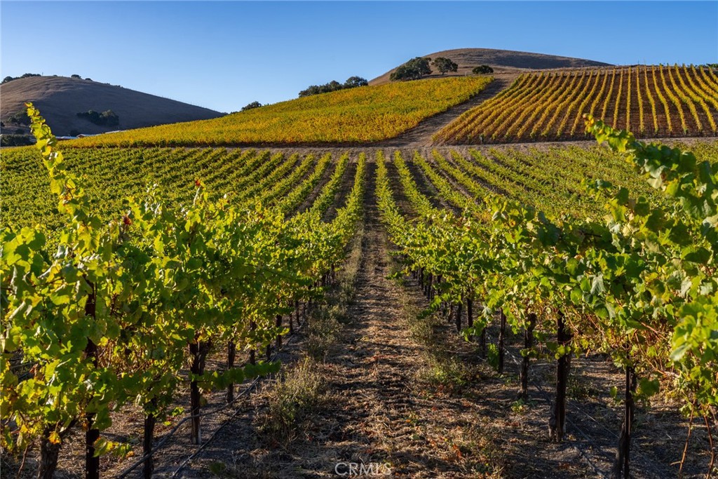 5502 Los Ranchos Road