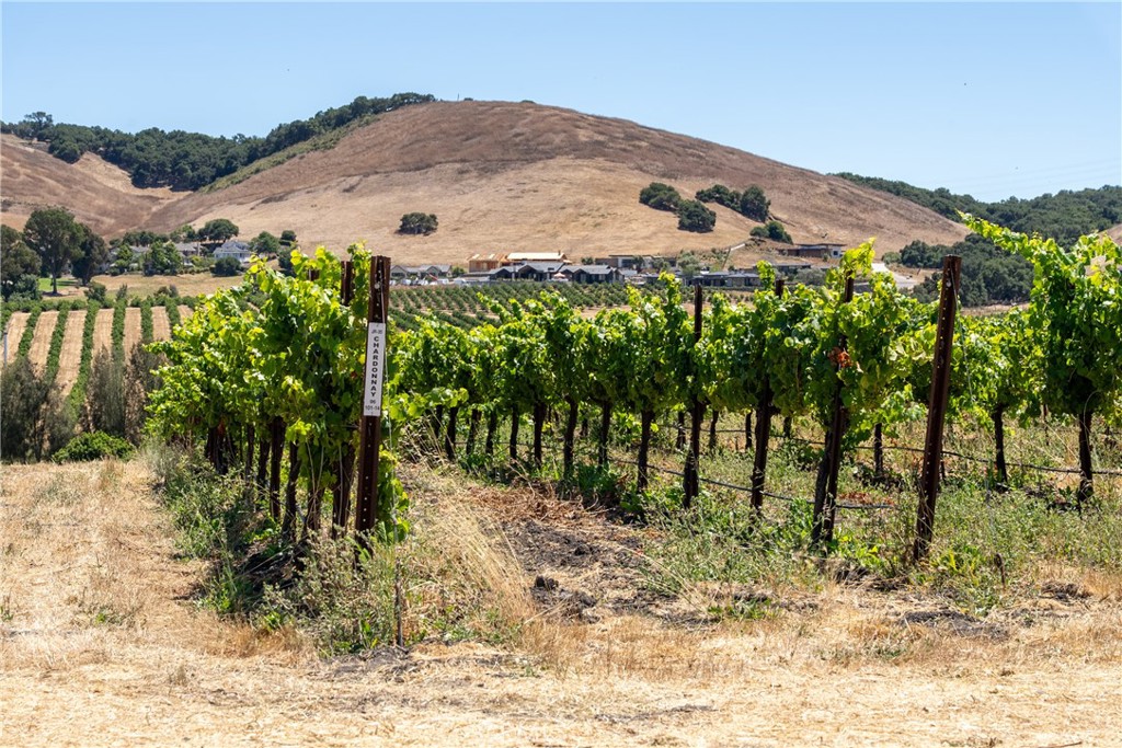 5502 Los Ranchos Road