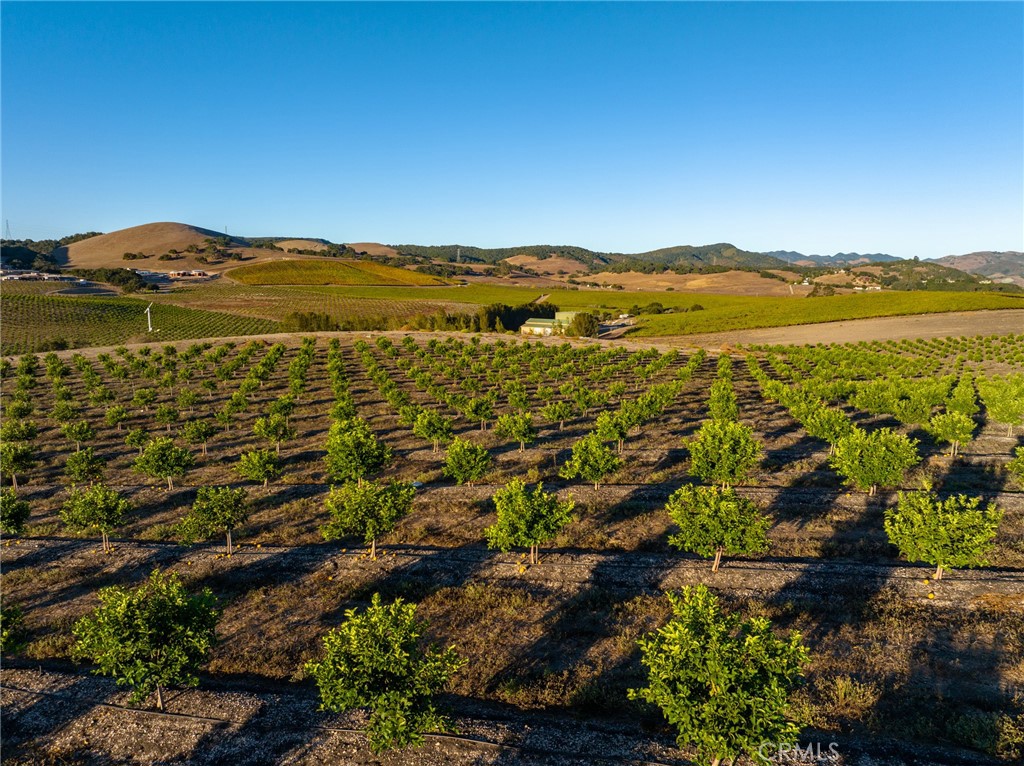 5502 Los Ranchos Road