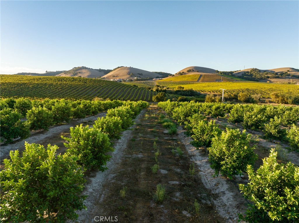 5502 Los Ranchos Road