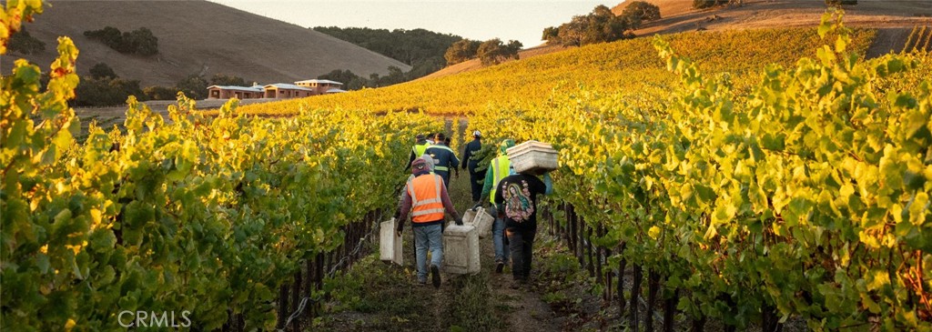 5502 Los Ranchos Road