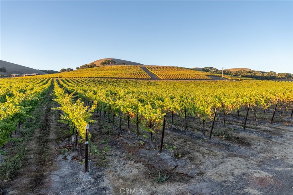 5502 Los Ranchos Road