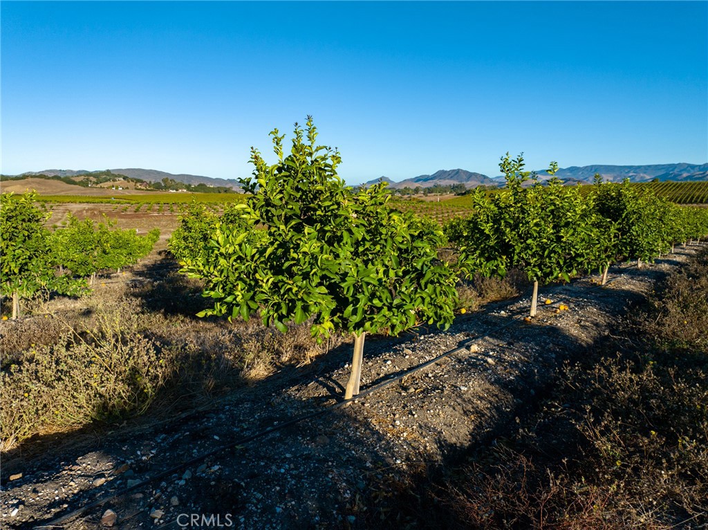 5502 Los Ranchos Road