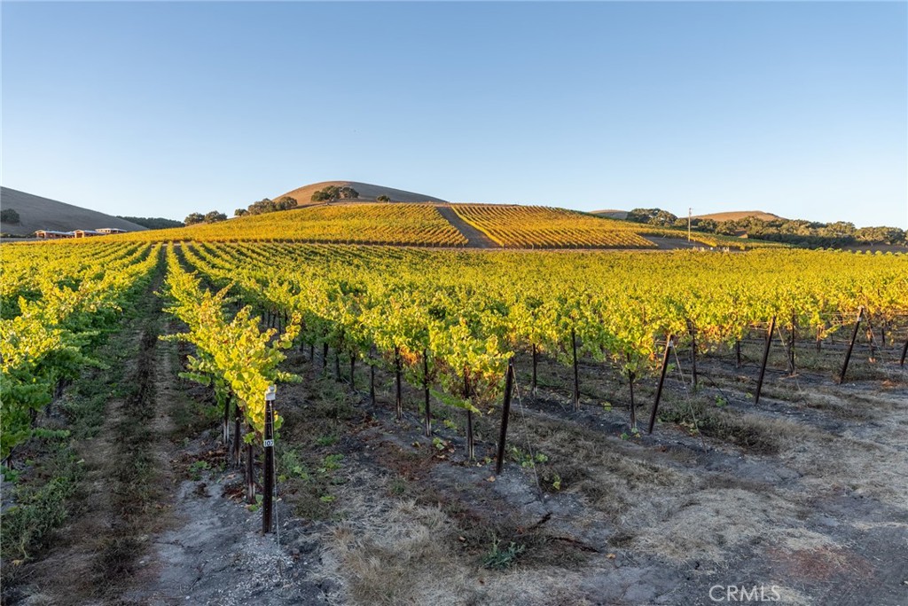 5502 Los Ranchos Road