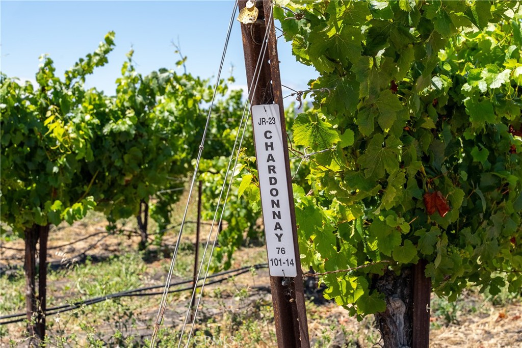 5502 Los Ranchos Road