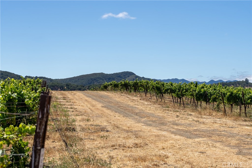 5502 Los Ranchos Road