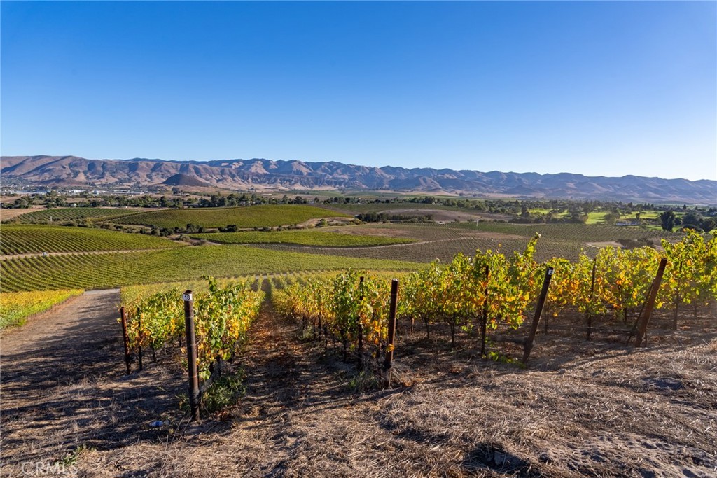 5502 Los Ranchos Road