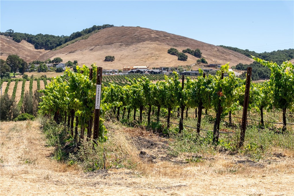 5502 Los Ranchos Road