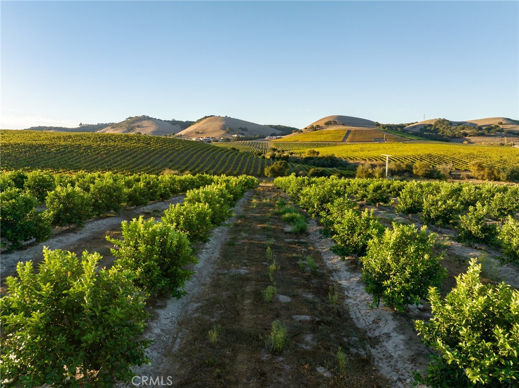 5502 Los Ranchos Road