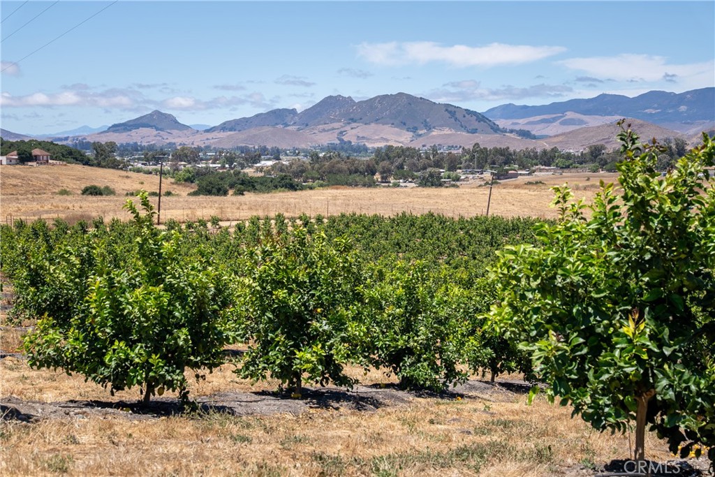 5502 Los Ranchos Road