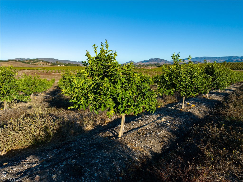 5502 Los Ranchos Road