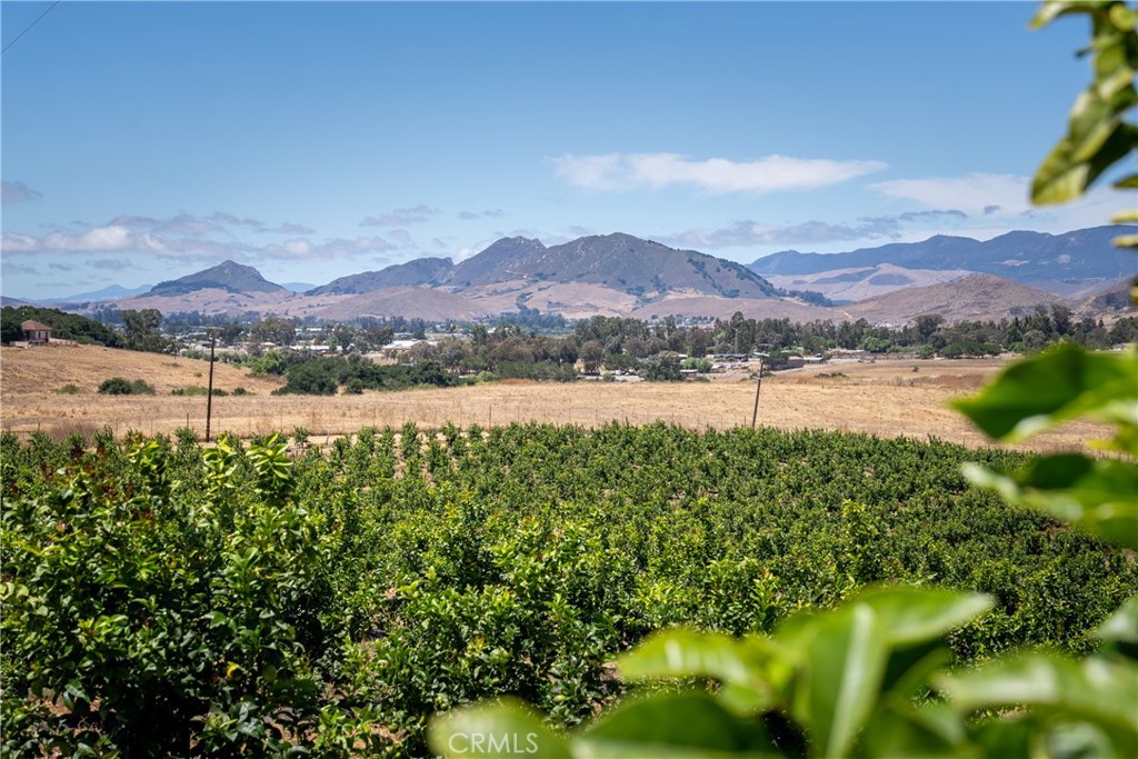 5502 Los Ranchos Road