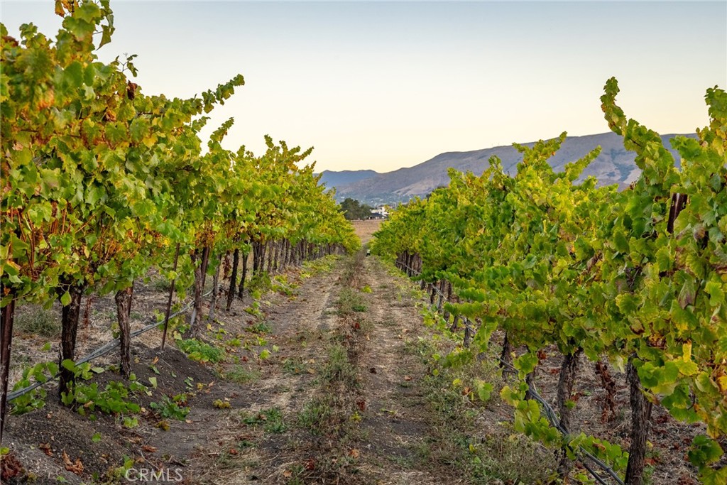 5502 Los Ranchos Road