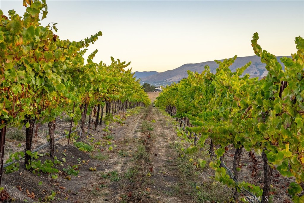 5502 Los Ranchos Road