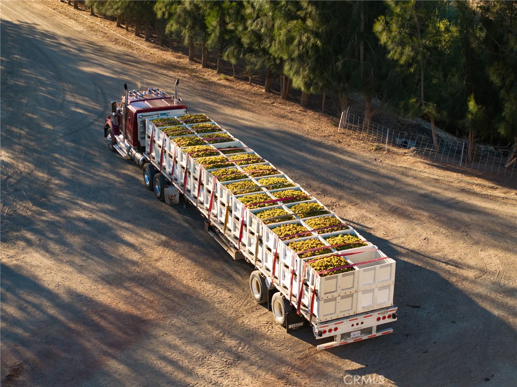 5502 Los Ranchos Road