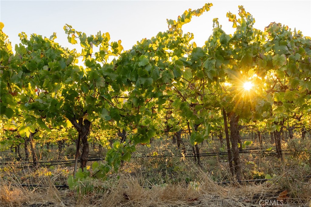 5502 Los Ranchos Road