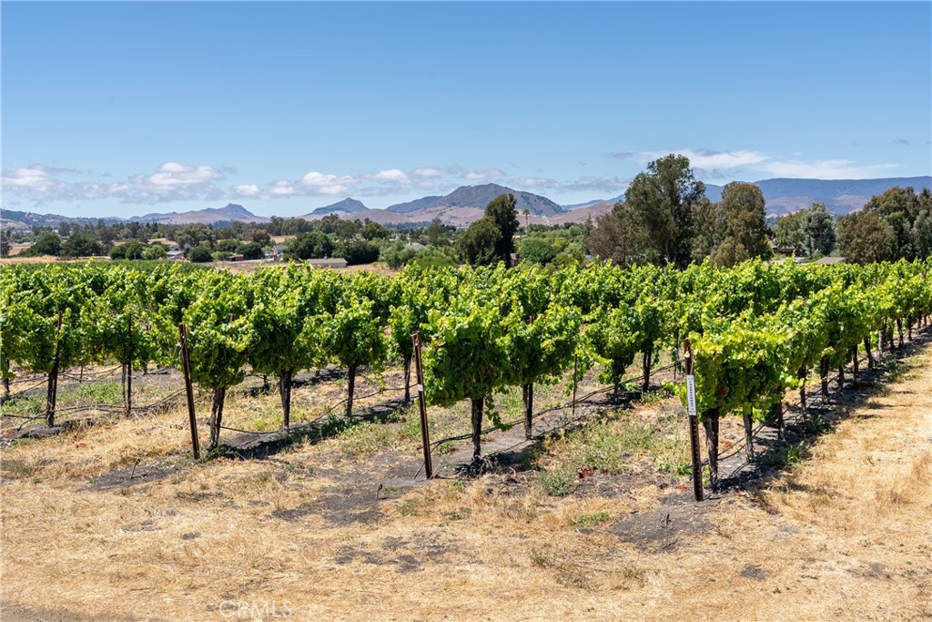 5502 Los Ranchos Road