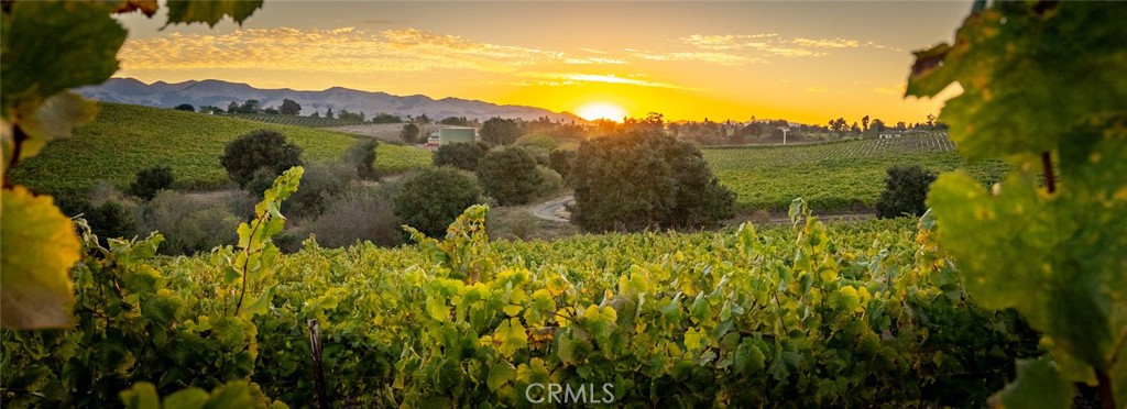 5502 Los Ranchos Road